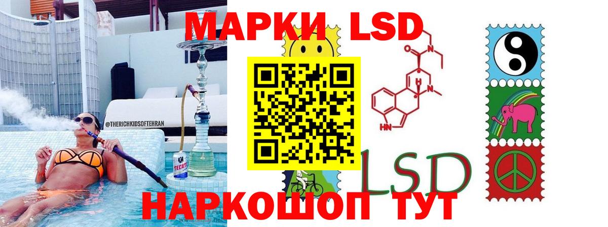 А ПВП Кизилюрт